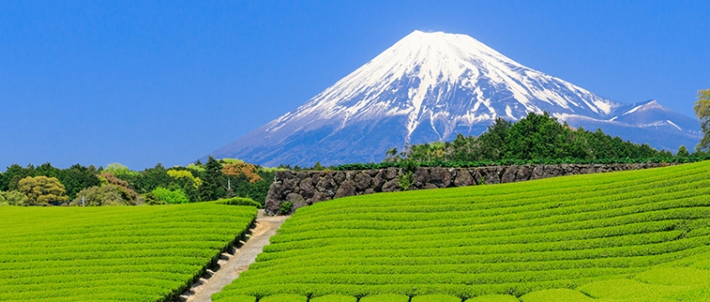 静岡の富士山